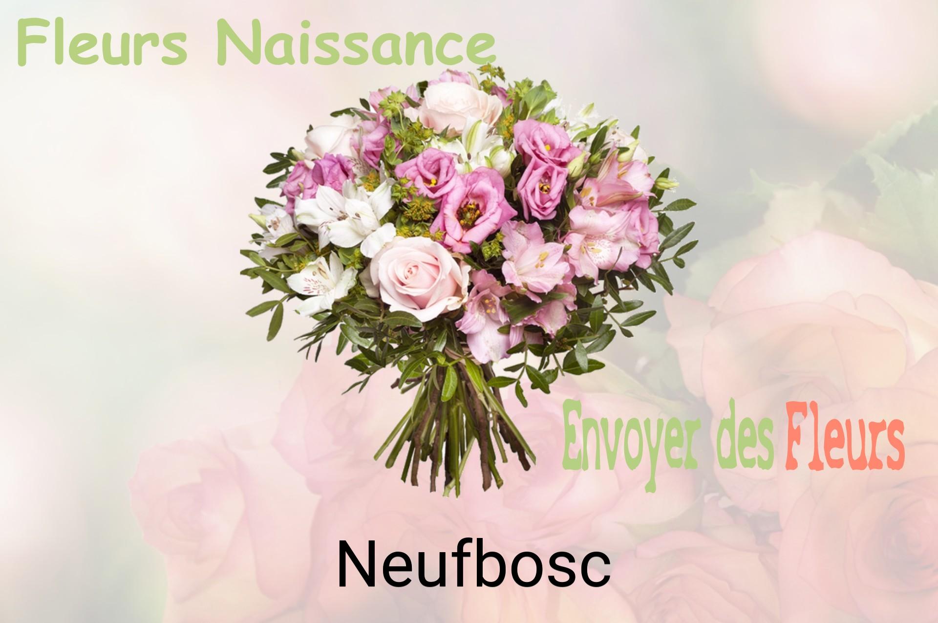 Bouquet de fleurs de naissance livré à Neufbosc